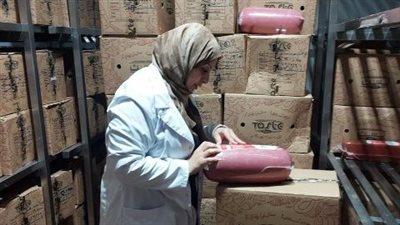 بيطري الشرقية: ضبط 850 كجم لحوم مجمدة و دواجن مخالفة خلال الحملات التفتيشية بالمحافظة
