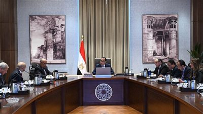 رئيس الوزراء يبحث مع شركة 