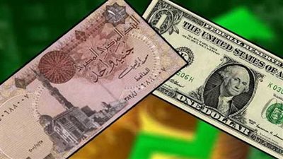 استقرار أسعار الدولار اليوم مقابل الجنيه المصري في بداية التعاملات 