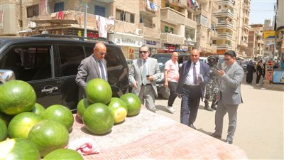 محافظ كفرالشيخ يقود حملة لإزالة الإشغالات والتعديات بشوارع العاصمة