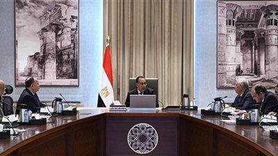 رئيس الوزراء يبحث سبل تشجيع صناعة الأسمدة للتوسع وزيادة حجم صادراتها