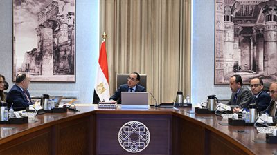 رئيس الوزراء يستعرض مع وزير المالية مقترح وثيقة السياسة الضريبية لمصر 
