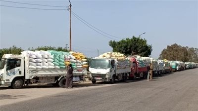 صوامع وشون الشرقية تستقبل 161 ألف طن قمح حتى الآن