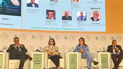 وزيرة التخطيط تستعرض جهود الدولة المصرية لتعزيز تمويل التنمية