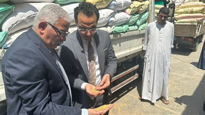 وزير التموين : توريد 900 الف طن قمح محلي حتي الآن