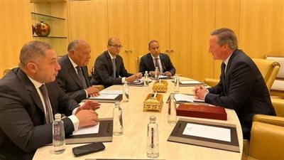 شكري يؤكد أهمية التحرك الدولي لتحقيق الوقف الفوري لإطلاق النار في غزة