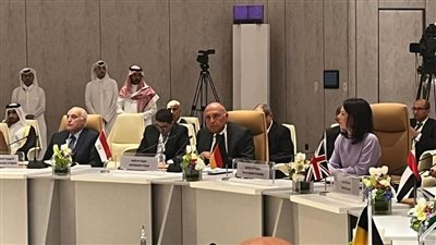 شكري يُشارِك في اجتماع تنسيقي مع بعض الدول للاعتراف بالدولة الفلسطينية 
