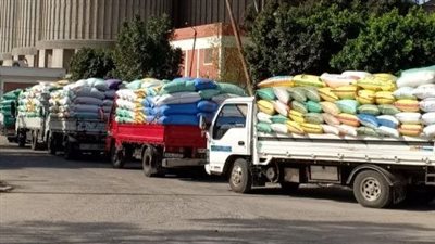 محافظ الشرقية: انتظام سير العمل بمنظومة توريد القمح لشون وصوامع المحافظة