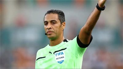 أمين عمر وأبوالرجال يديران مباراة الكاميرون والجابون في أمم أفريقيا
