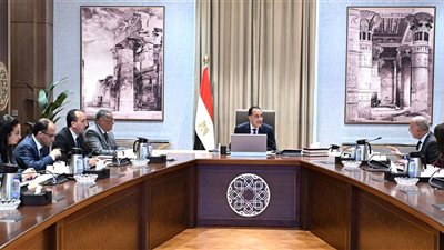 رئيس الوزراء يستعرض فرص الاستثمار بمنطقة 