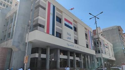 جنايات المنصورة تحيل أوراق متهم عربي الجنسية للمفتي لقتله صديقه