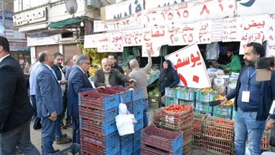 محافظ الدقهلية يشيد بأحد محال بيع الخضروات والفاكهة للالتزام بالأسعار