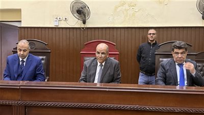 للمرة الثانية.. إعدام المدمن.. قاتل جارته المسنّة وسرقها في بولاق الدكرور
