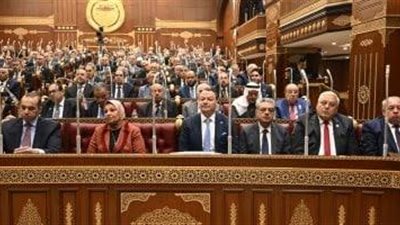 مجلس الشيوخ يقر نهائيًا تعديل قانون الكهرباء لحماية المال العام والمواطنين الملتزمين