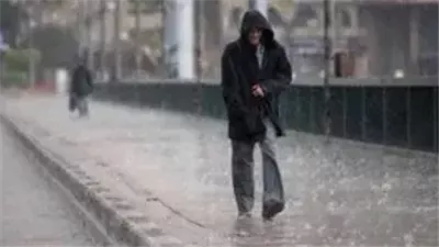 مركز المناخ يحذر: شتاء 2026 قد يكون الأقسى والأكثر برودة.. وتوصيات عاجلة للمزارعين