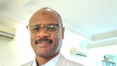 خبير سوداني: على الخرطوم التعامل بجدية مع مبادرات مصر والسعودية لوقف الحرب