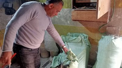 تشديد الرقابة بدمياط.. تحرير 300 محضر تمويني وضبط مخالفات وقود ودقيق خلال أسبوع