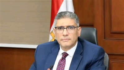 محافظ الجيزة يتابع انتظام جولة إعادة انتخابات مجلس النواب في اليوم الثاني والأخير