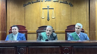 الإعدام شنقًا والمؤبد.. جنايات الجيزة تُودع حيثيات قتل طفل بسبب خلافات ميراث