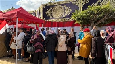انتظام لجان التصويت بجولة إعادة انتخابات مجلس النواب 2025 بمختلف المحافظات