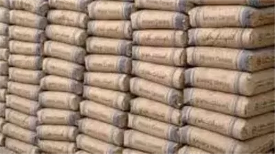 بدعم الإنتاج المحلي.. استقرار سعر الأسمنت اليوم الأحد ٤ يناير في مصر