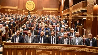 توجه برلماني لتوطين التصنيع الزراعي في المناطق الريفية وزيادة كفاءة الإنتاج