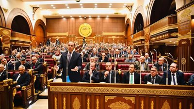 محمود فوزي يطمئن المواطنين أمام مجلس الشيوخ بشأن قانون الضريبة على العقارات المبنية