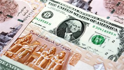 أسعار العملات في البنك المركزي المصري اليوم الأحد 11 يناير 2026