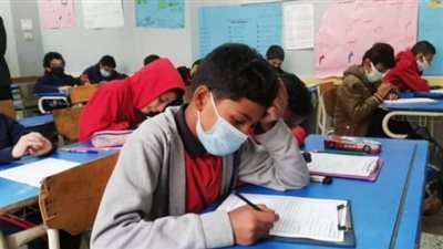 نتيجة الصف السادس الابتدائي 2026 بالرقم القومي.. كل الطرق للاستعلام بسهولة