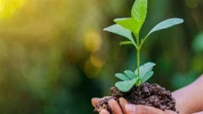 التغيرات المناخية تضغط على الاقتصاد العالمي.. وخبراء: الغذاء والطاقة في قلب الأزمة والحلول تبدأ من الاستدامة