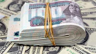 الأخضر بكام؟.. سعر الدولار مقابل الجنيه المصري اليوم الثلاثاء 13 يناير 2026