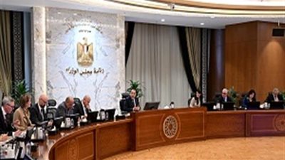 رئيس الوزراء يؤكد دعم الدولة الكامل لمشروع إنتاج الهيدروجين الأخضر بالعين السخنة