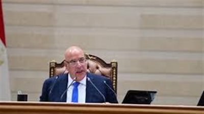 مجلس النواب.. انطلاق انتخابات اللجان النوعية بحضور المستشار هشام بدوي