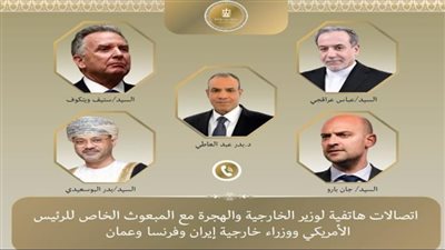 مصر تقود التنسيق الدولي لتنفيذ خطة 