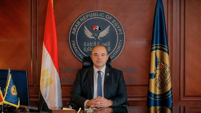 الرقابة المالية ترفع الحد الأقصى لتمويل المشروعات متناهية الصغر