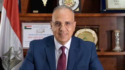 مصر واليابان تتقاسمان رئاسة المسار الثالث بمؤتمر الأمم المتحدة للمياه 2026
