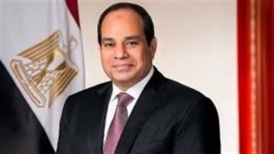 تطوير القناة.. الرئيس السيسي يوجه بتحديث أسطول الصيد وتوطين الصناعة البحرية