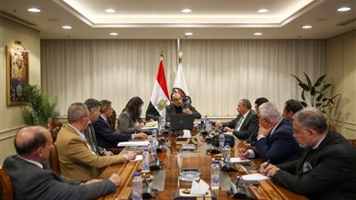 وزير قطاع الأعمال: الوزارة تتبنى سياسة الانفتاح والاستعداد الكامل للشراكة مع القطاع الخاص