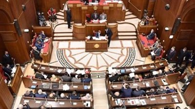 مجلس الشيوخ يبحث تطوير سياسات المستشفيات الجامعية لضمان قرارات أكثر كفاءة