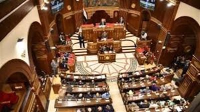 عضو بـ«الشيوخ» يدعو لتفعيل آلية مرنة لتحديث قرارات العلاج على نفقة الدولة