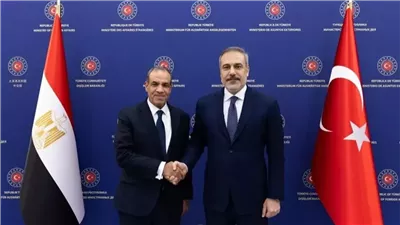 تنسيق مصري تركي.. بدر عبد العاطي يبحث مع 