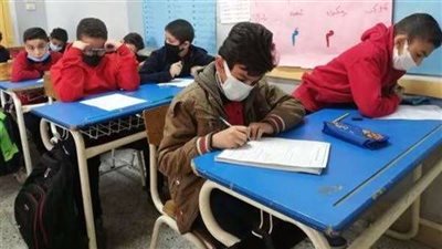 نتيجة الصف السادس الابتدائي بالرقم القومي 2026.. خطوات الاستعلام بالتفصيل 