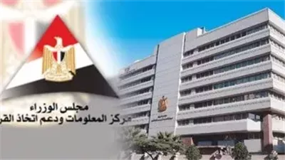 تقرير دولي جديد.. معلومات الوزراء يستعرض تأثير العمل التطوعي على المجتمعات العالمية