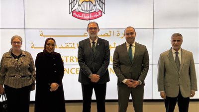 مصر والإمارات تتعاونان في 