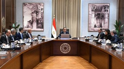 رئيس الوزراء يبحث توطين صناعة السيارات وتعزيز تنافسية المناطق الحرة