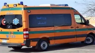 حادث مروع بطريق المنصورة - طناح.. تصادم توك توك وتروسيكل يُصيب 3 أطفال