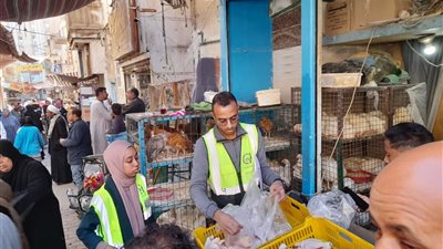 تزامنًا مع احتفالات مولد 