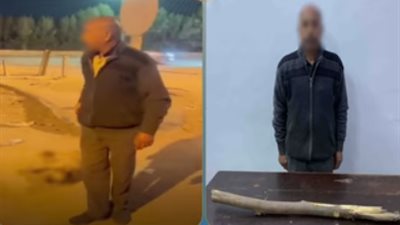 القبض على شخص لتعديه على كلب بعصا تسبب في نفوقه بالفيوم
