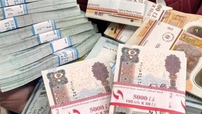 شروط معاش الشيخوخة والعجز للعمالة غير المنتظمة 2026.. 180 شهرًا مدة اشتراك فعلية