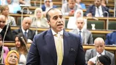 وزير الشئون النيابية يشارك في إقرار 5 اتفاقيات دولية وتعديل قانون 
